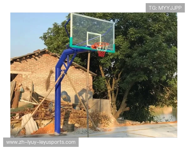 学校常用健身器材推荐,适配体育教学标准配置